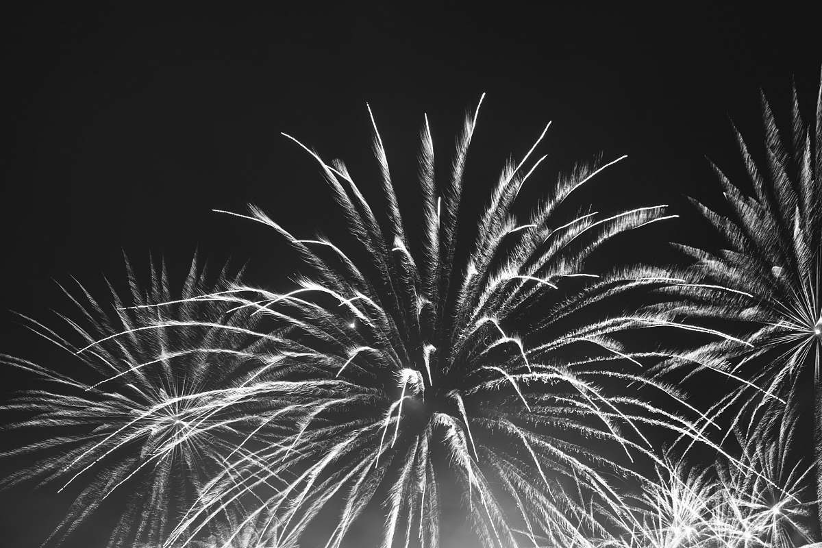 outdoors fireworks display black-and-white