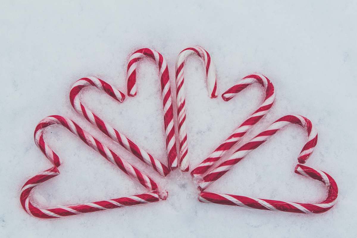 stick red-and-white candy cane lot valentines day
