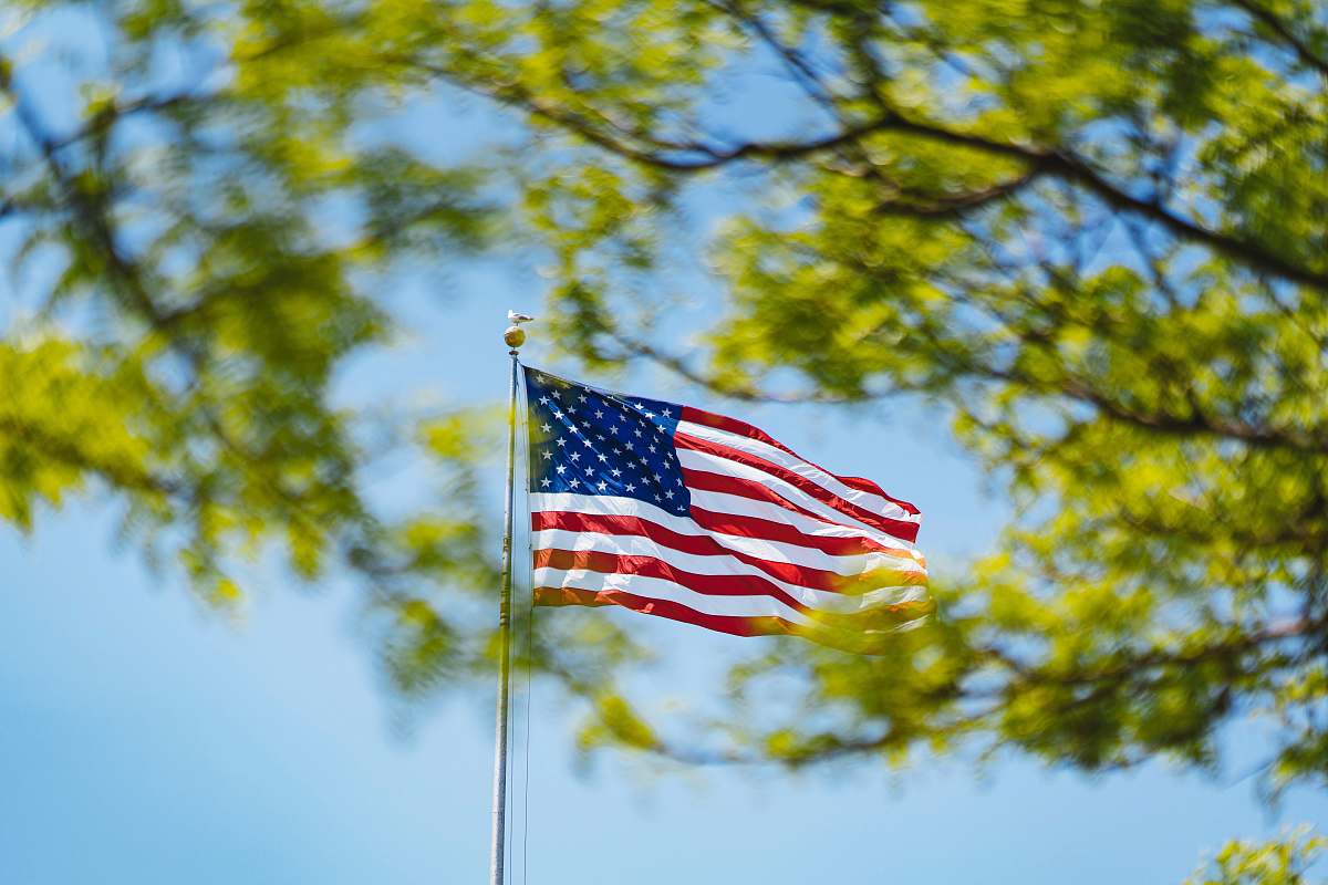 symbol United States of America flag near green tree statue of liberty national monument