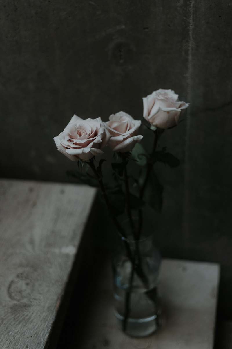 rose three white rose flowers in vase blossom