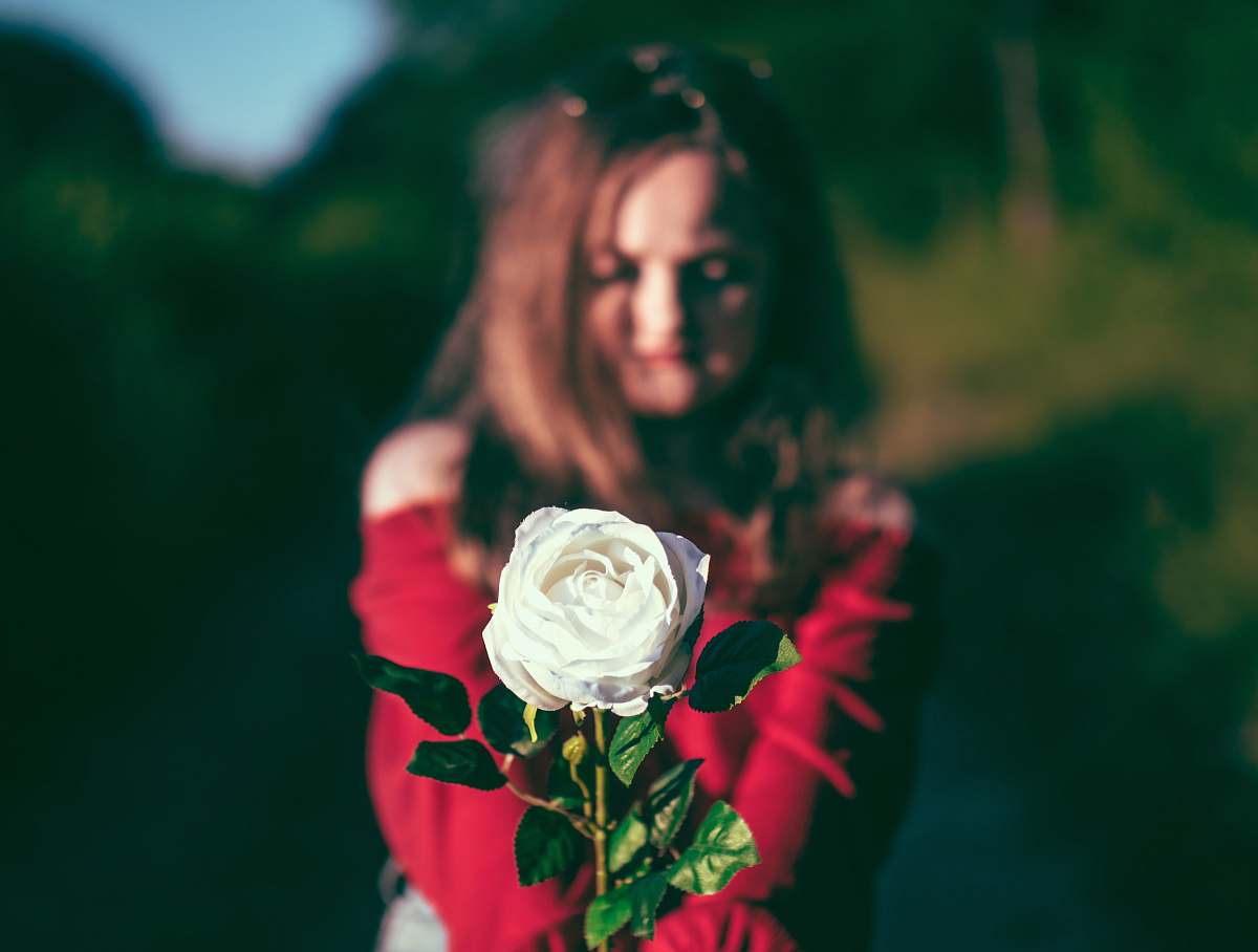 rose woman holding white flower flora