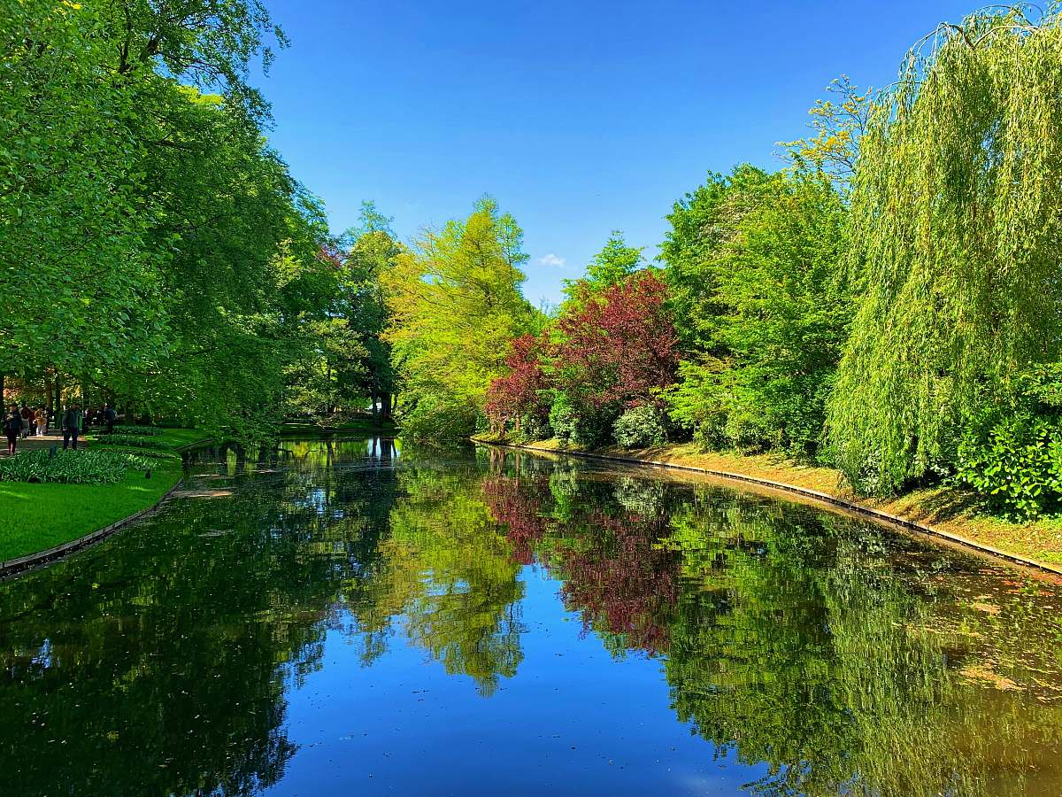 water green trees and lakes scenery outdoors