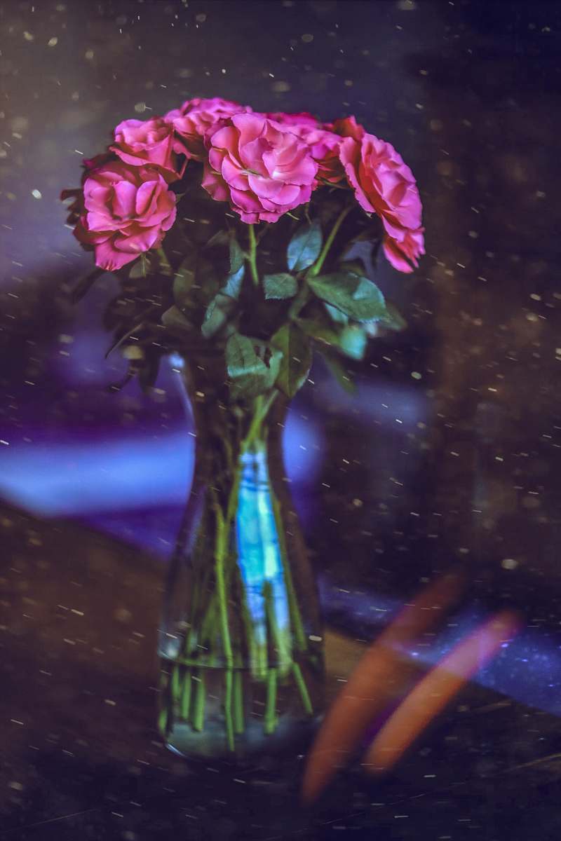 human pink flowers in vase flower