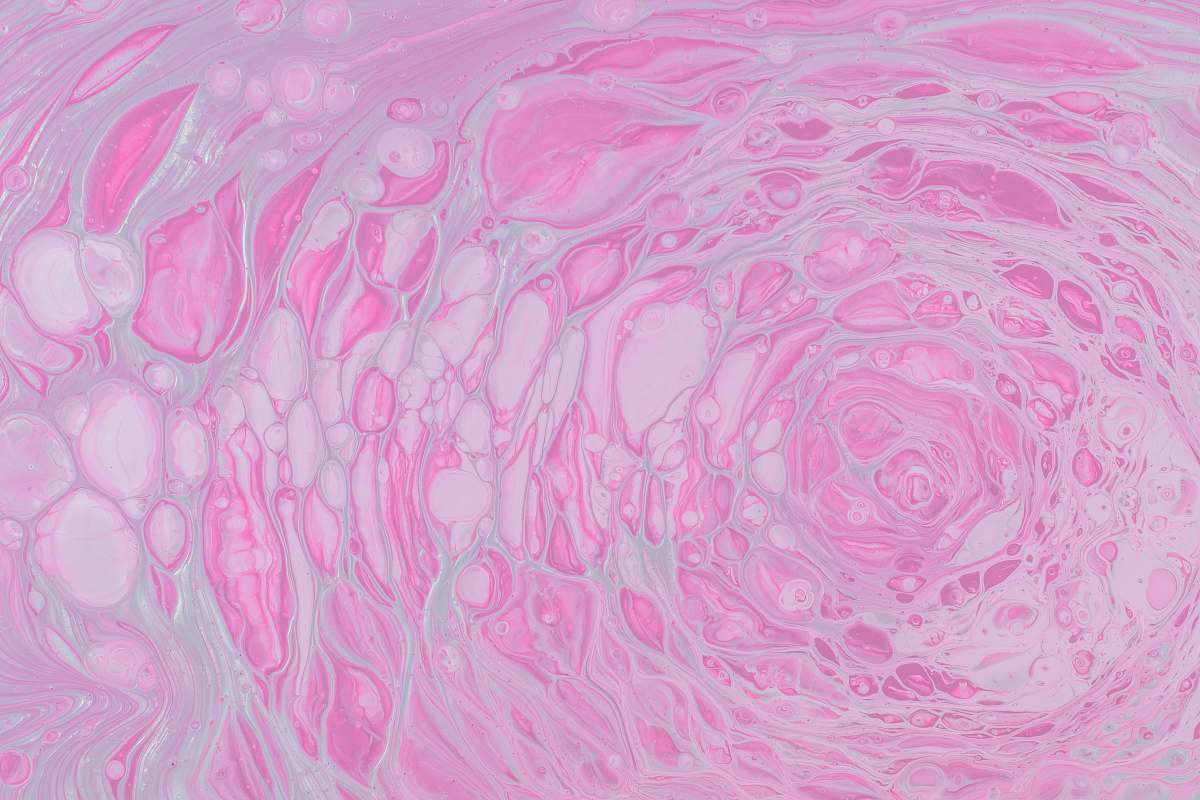 rug pink and white abstract painting invertebrate
