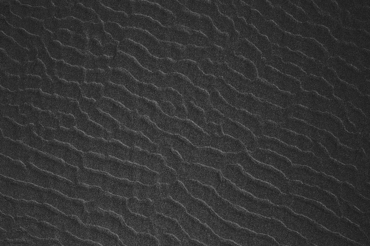 grey  black-and-white