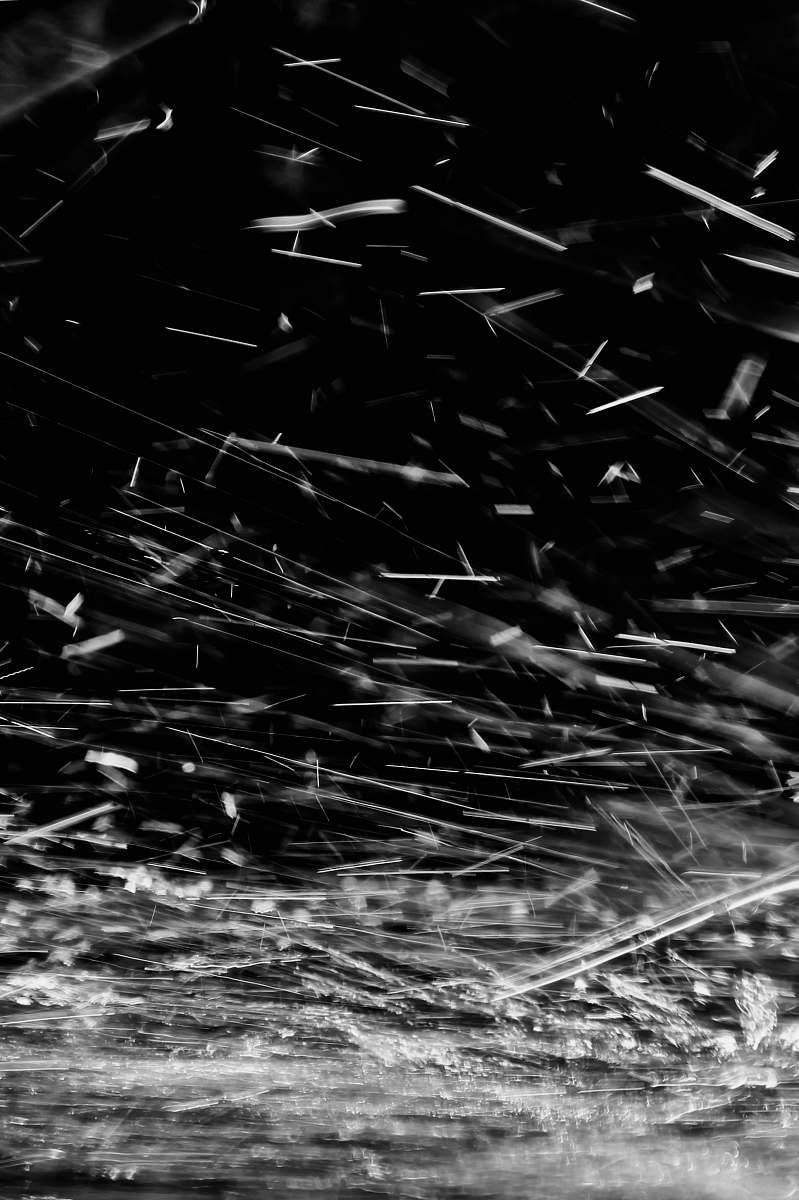 black-and-white  spider web