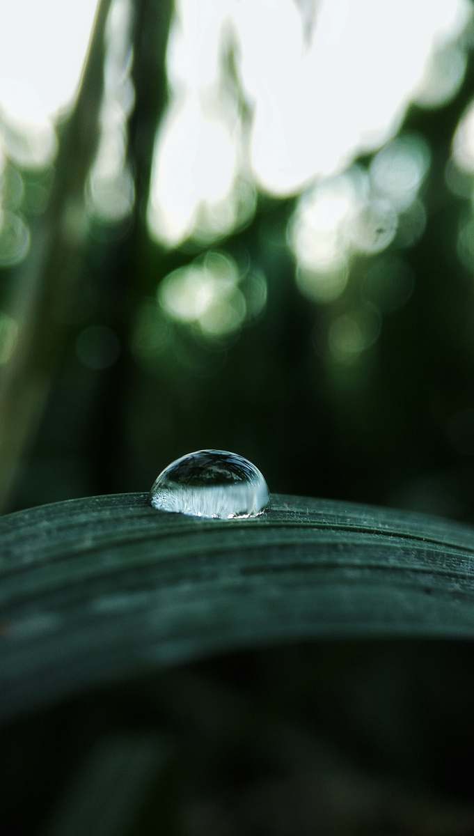droplet vehicle tire jl. karangbolong no.120