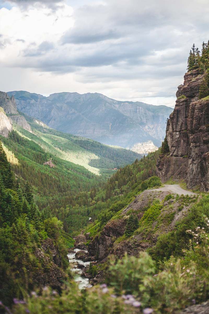 nature green plants surround brown cliffs during daytime colorado