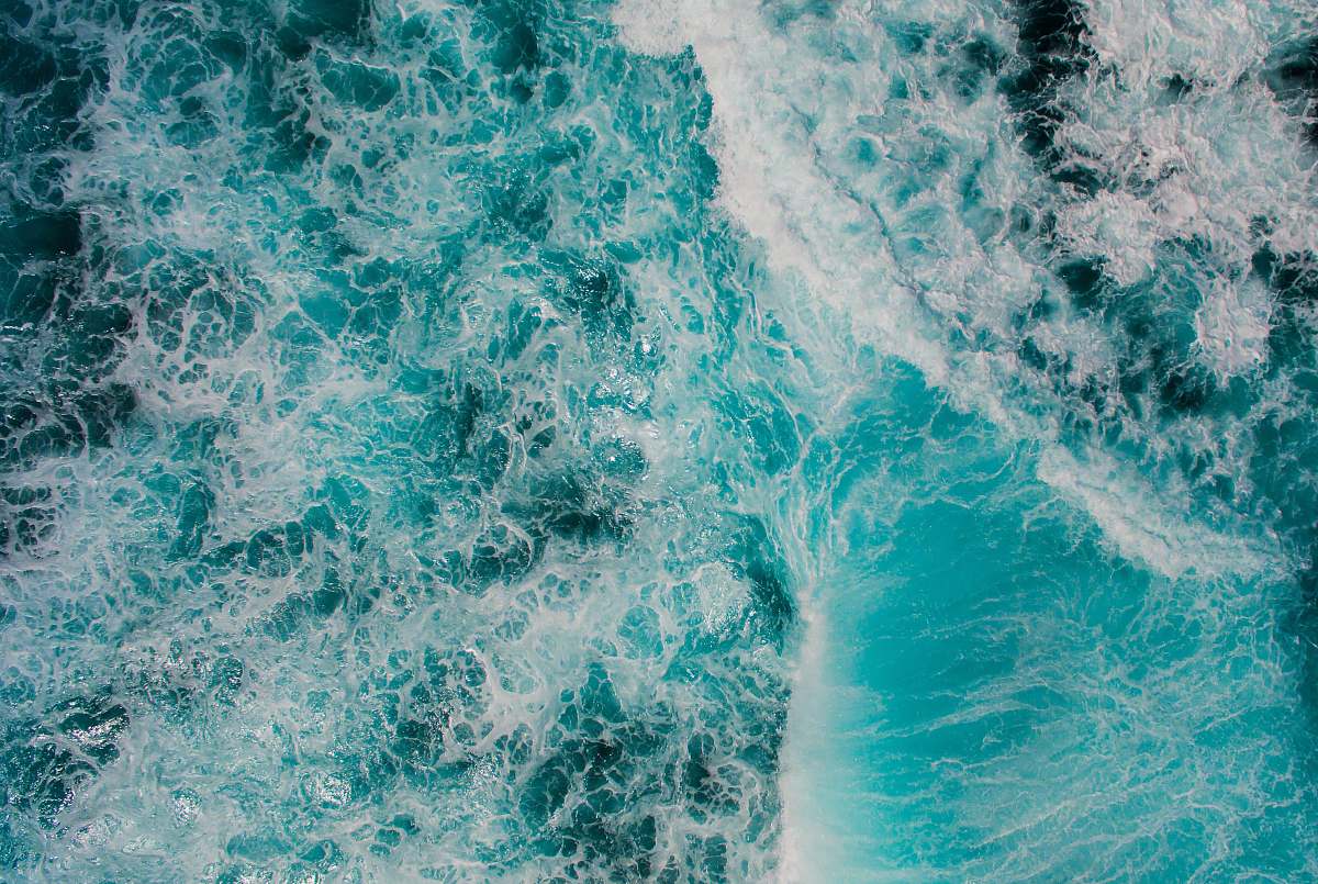 sea  nature