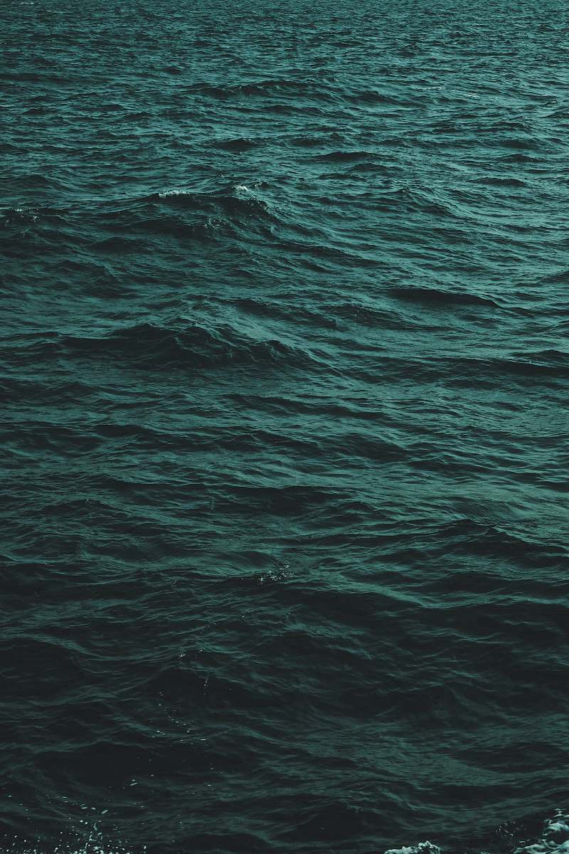 sea wavy body of water closeup photography nature