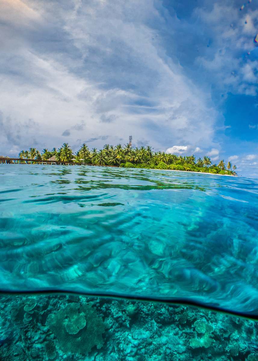 ocean green-leafed trees surrounded by body of water during daytime land