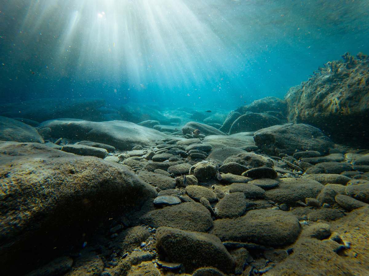 Ocean Rocks On Sea Bed Underwater Image Free Stock Photo