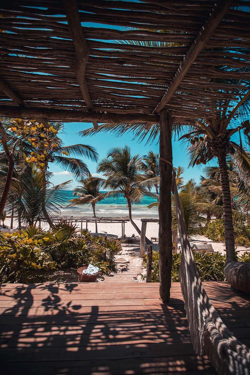 pergola nipa hut under coconut palm trees patio