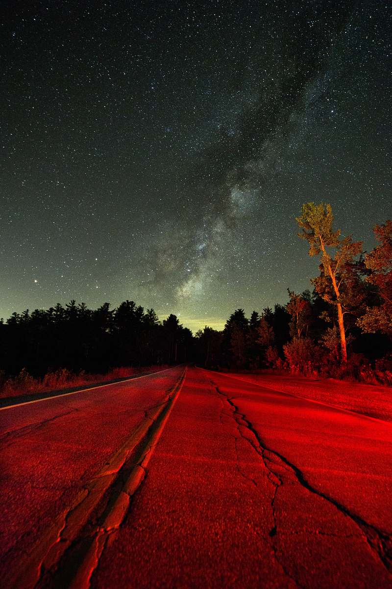 tree grey concrete straight road near tall trees under white stars at nighttime gravel