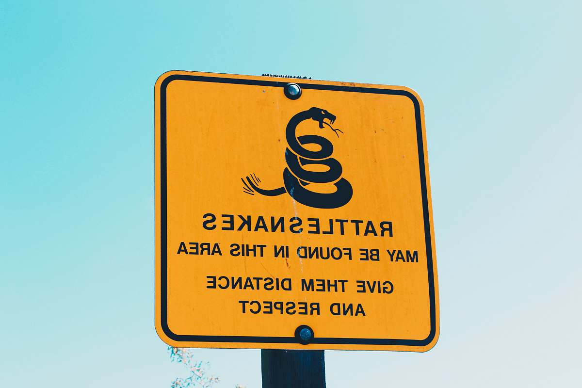 wallpaper Rattlesnakes may be found in this area give them distance and respect signage snakes