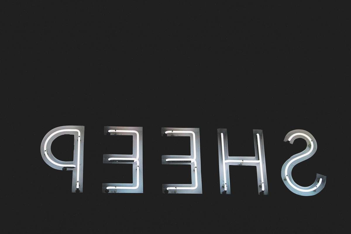neon sheep neon light signage sheep