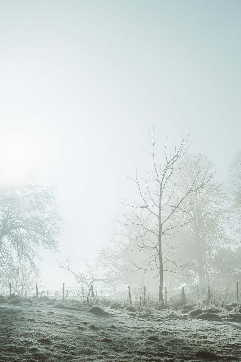 outdoors  weather