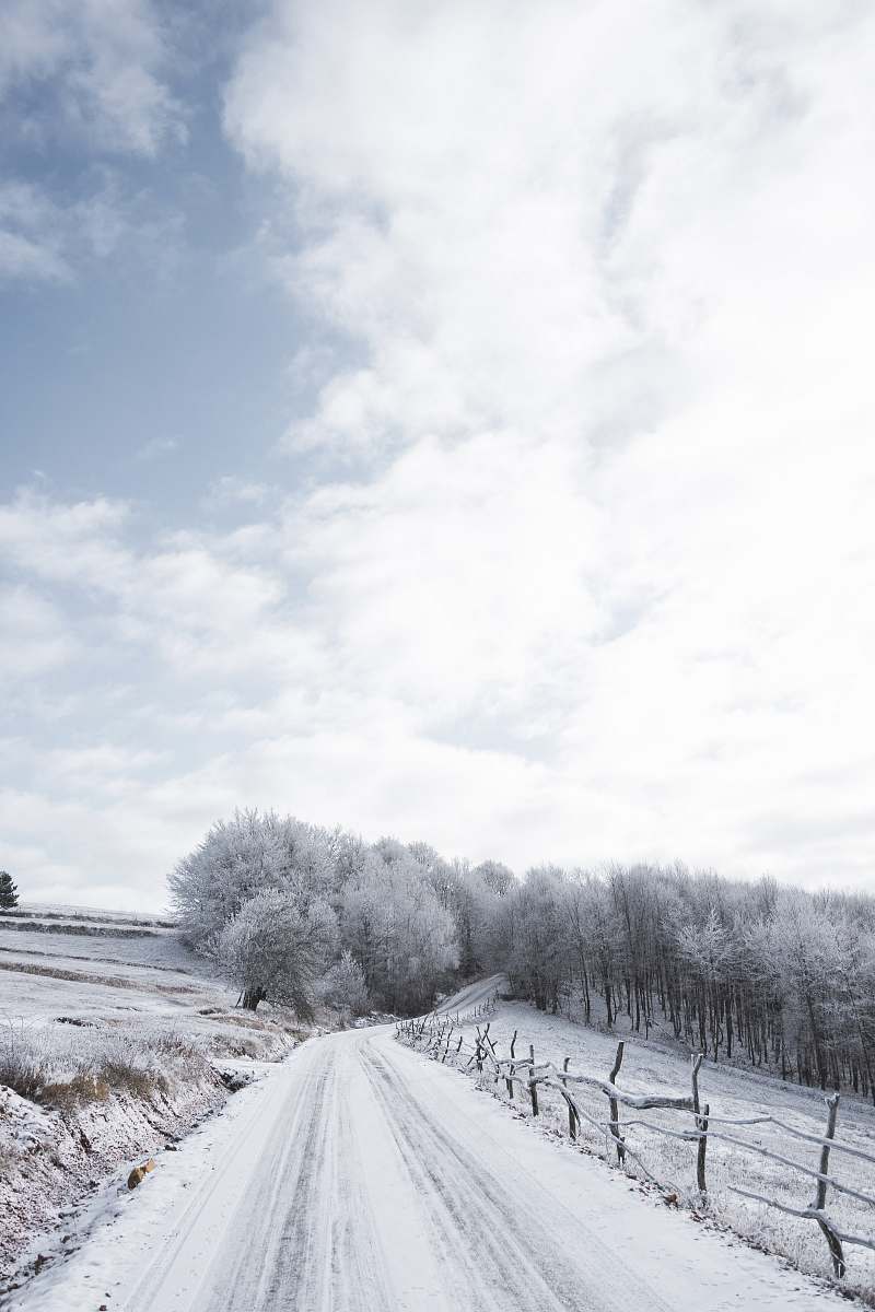nature white wooden house near trees under white clouds and blue sky during daytime ice