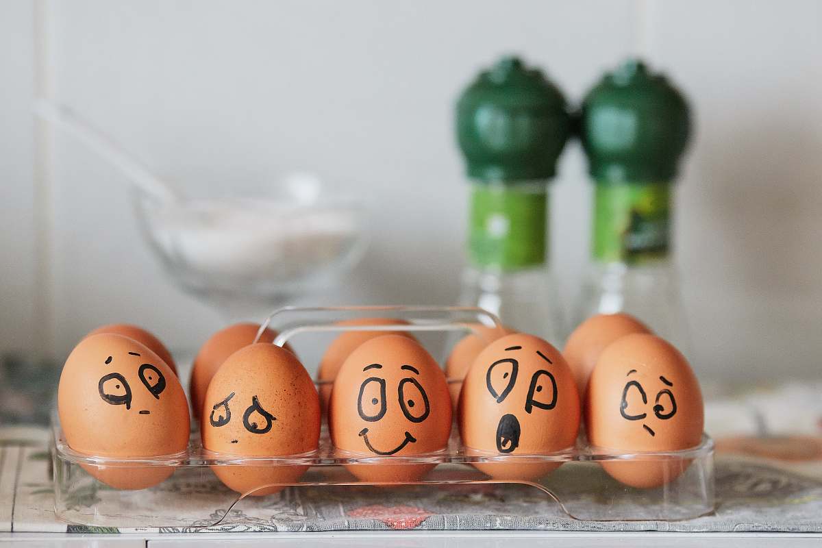 egg brown egg золотая долина