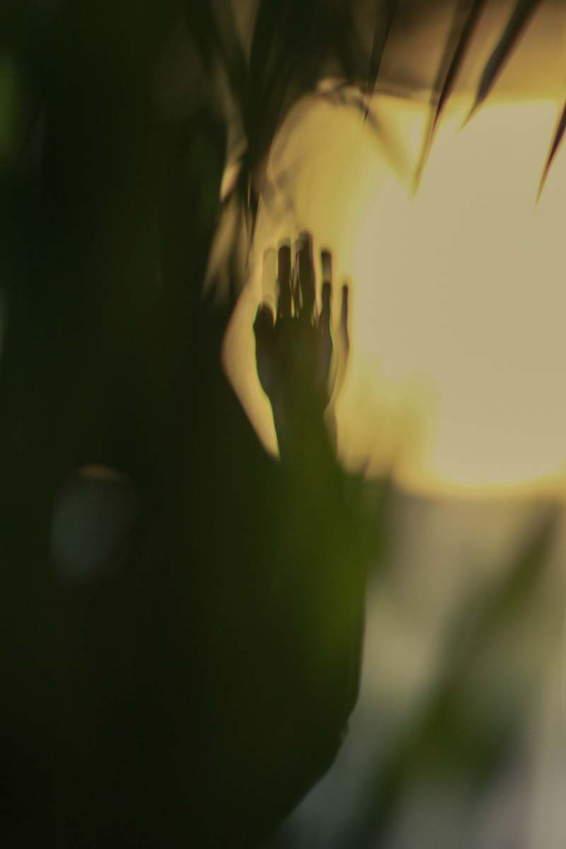dark silhouette of person raising hand eindhoven