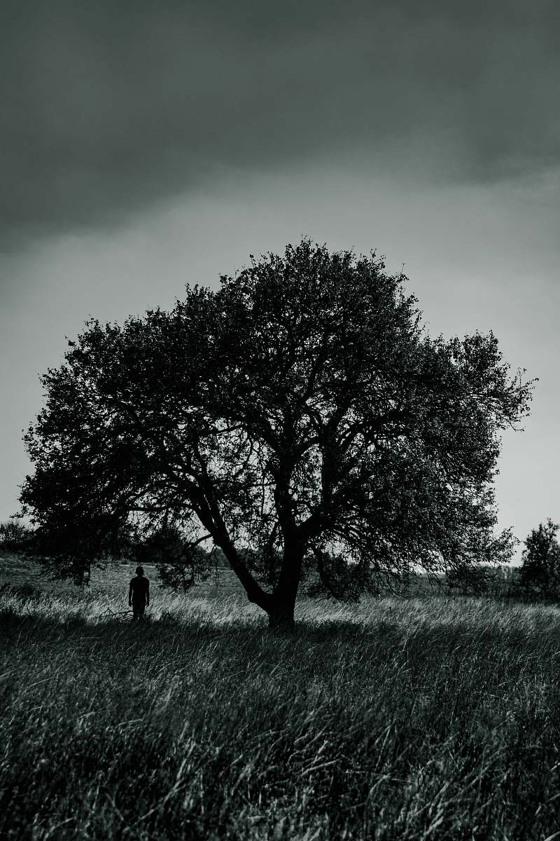 flora person standing under a tree plant