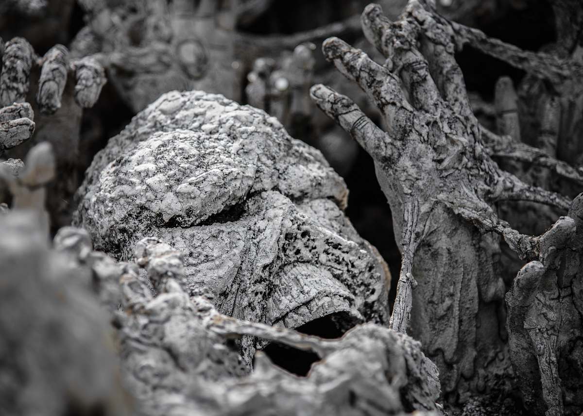 grey concrete covered skeleton fungus