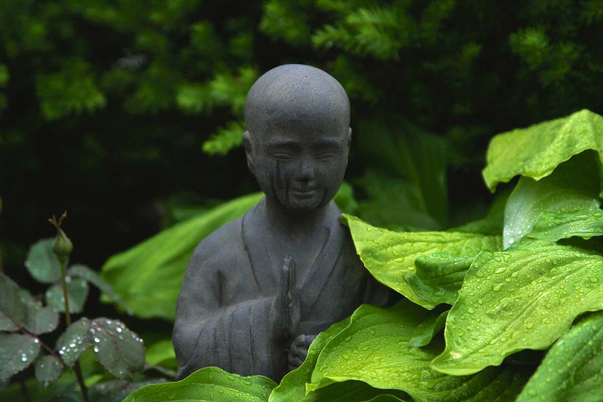 statue monk statue surrounded by plants outdoor during day plant