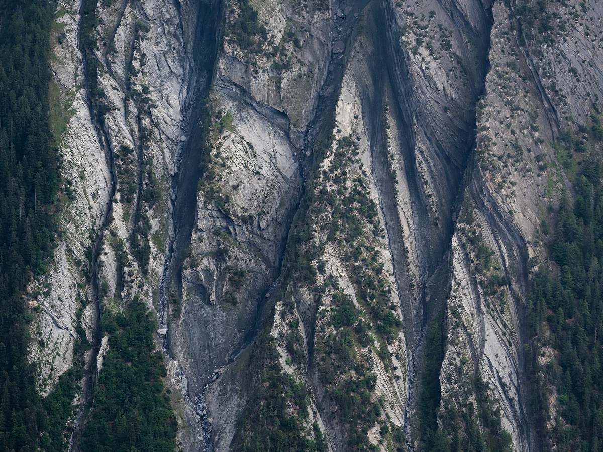switzerland aerial photograph of forest tree