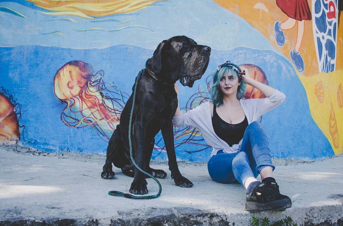A serene scene capturing a woman sitting comfortably on a wall beside her loyal dog, set against an urban backdrop. This image beautifully portrays the bond between humans and pets, making it perfect for projects related to companionship, city life, or lifestyle content. Ideal for use in blogs, websites, or marketing materials focused on pets, urban living, or leisure activities.