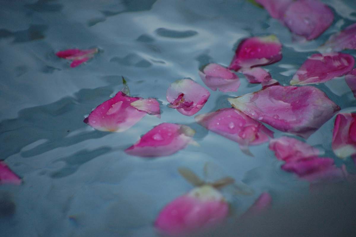 blossom teal and pink floral textile flower