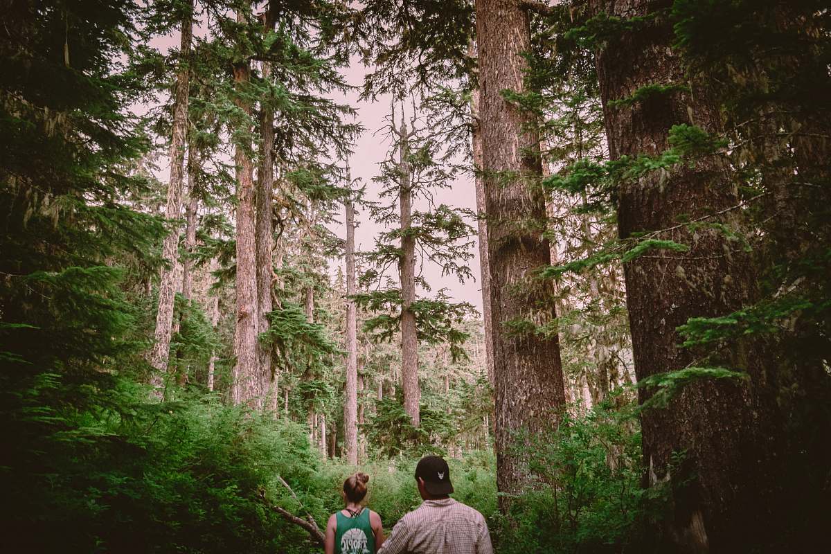 vegetation man and woman sitting on ground surrounded by trees during daytime forest