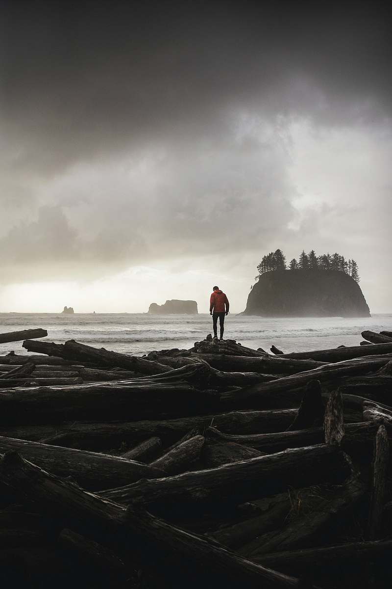 person photo of person wearing orange sweater standing on logs human