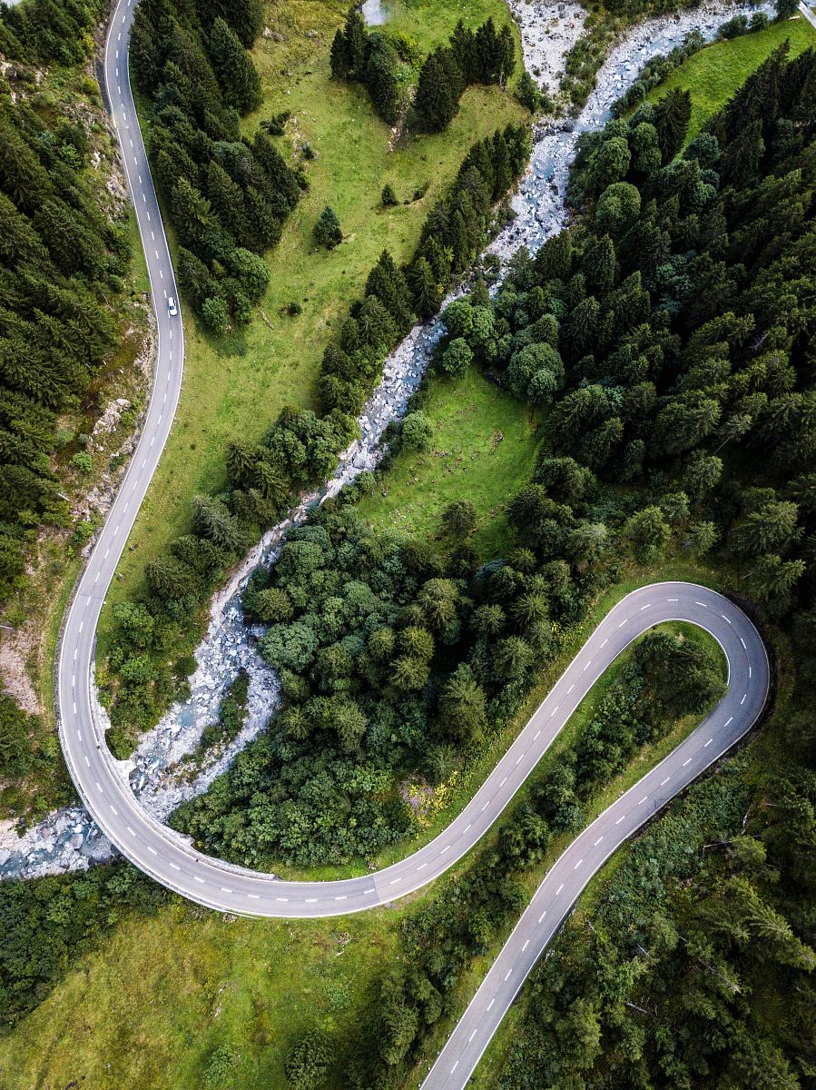 aerial photography of green forest