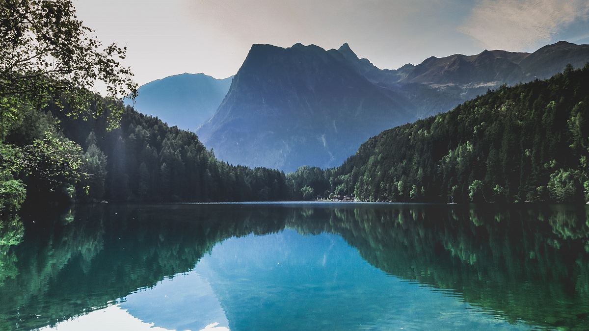 body of water near trees