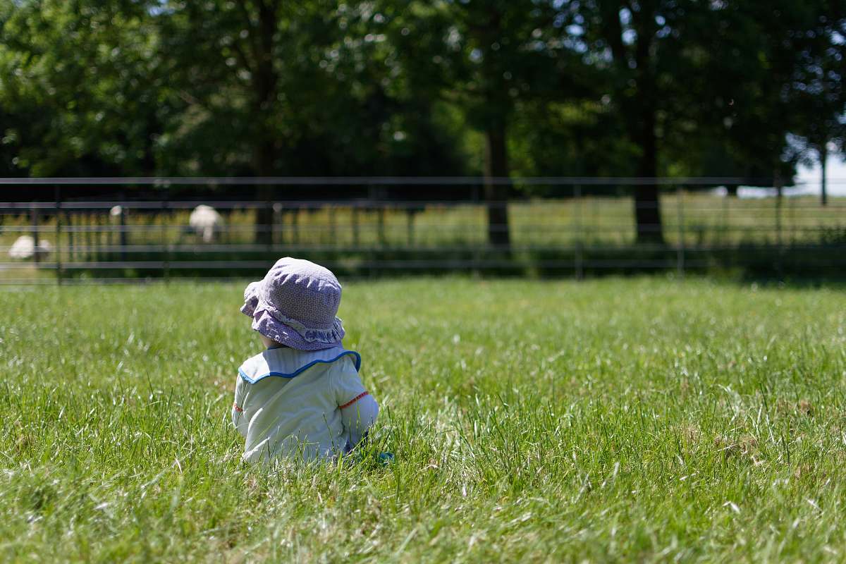 clothing toddler standing on the green grass field grass