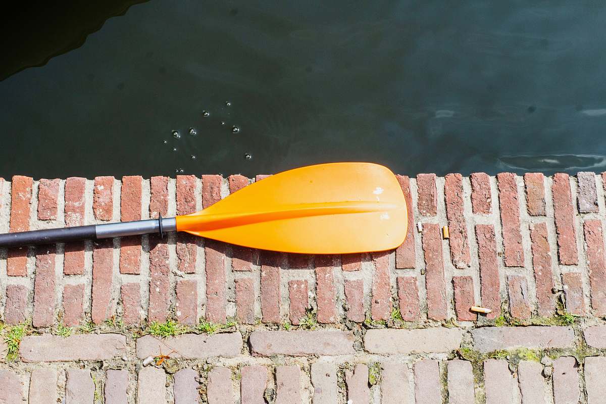 oars orange boat paddle paddle