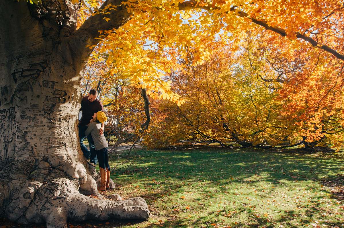 person man and woman near yellow-petaled flower tree human