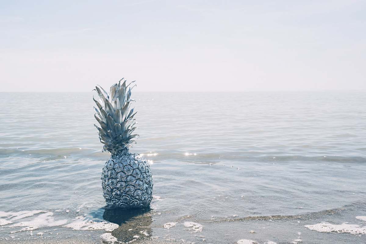 pineapple grey pineapple on sea during daytime water