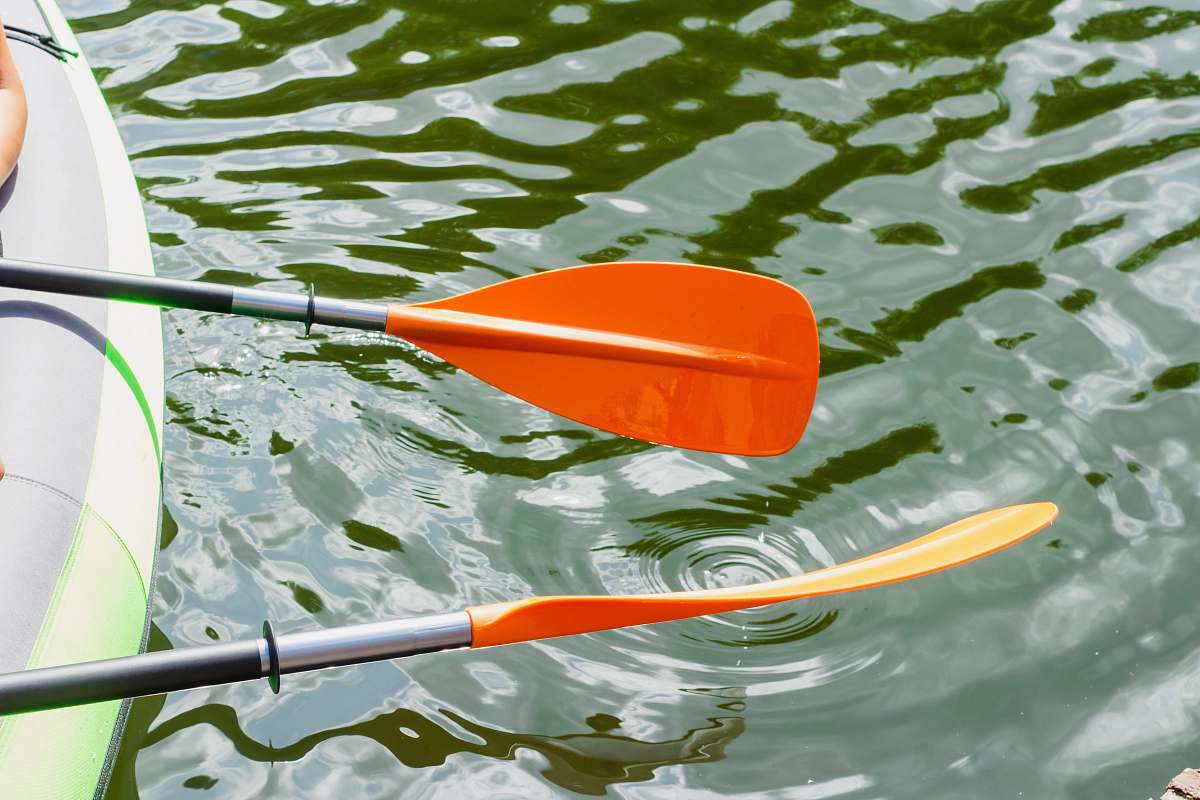 Paddle Boat Image Free Photo