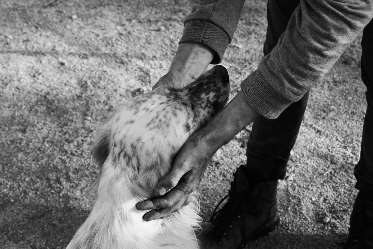 human man holding the head of dog black-and-white