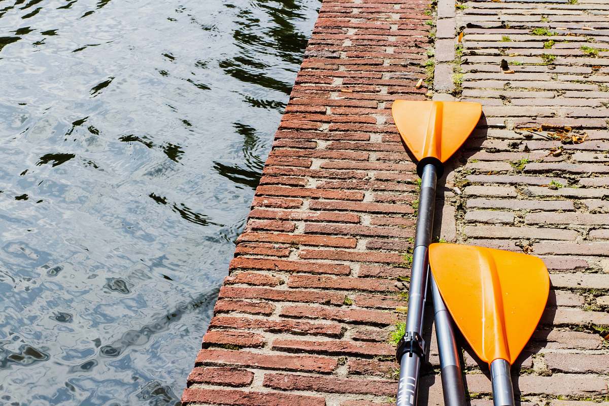 oars pair of yellow and silver paddles on gray surface paddle