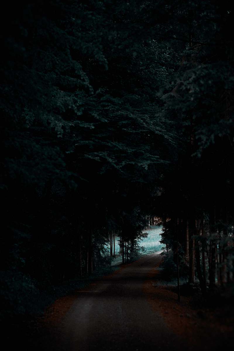 road gray road between forest darkness