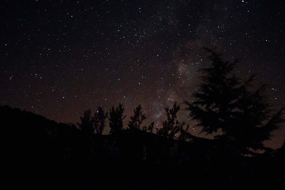 france silhouette photography of pine trees during night time milky way