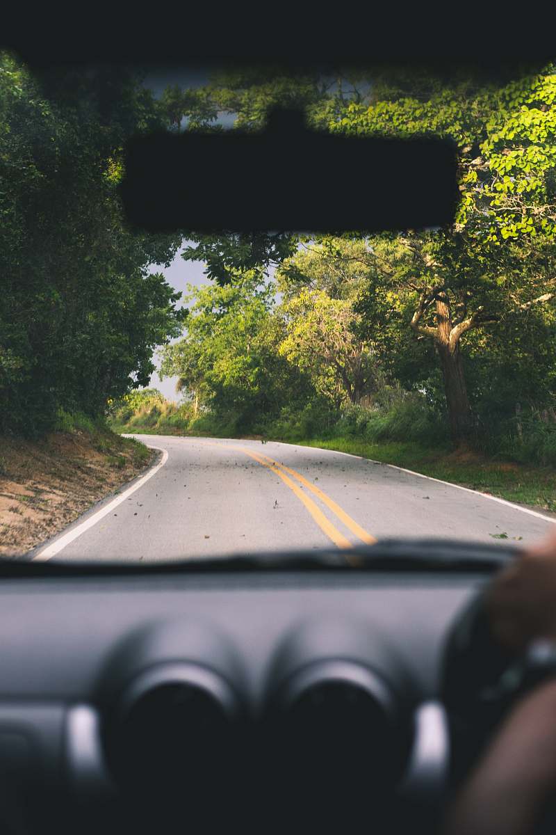 car grey asphalt road surrounded by trees driving