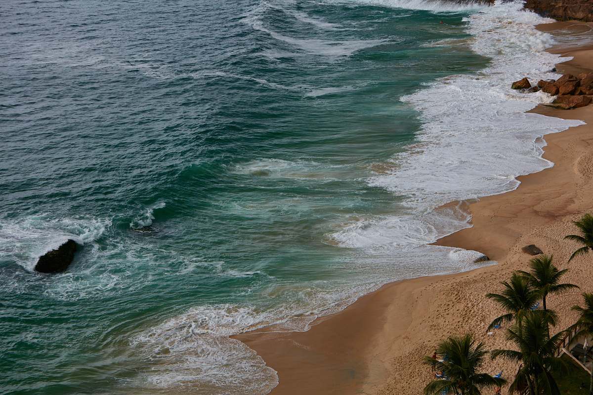 beach ocean waves near palm trees ocean