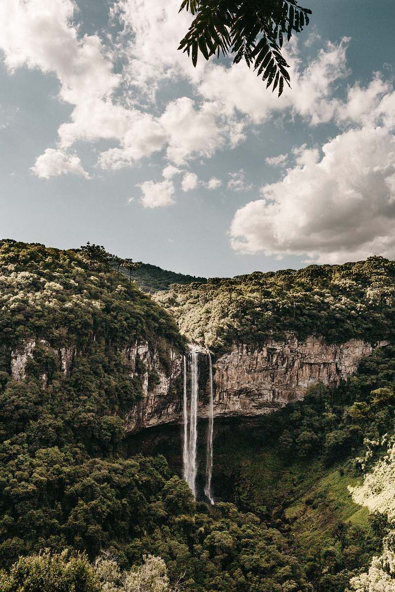 nature water falls beside trees in nature photography river
