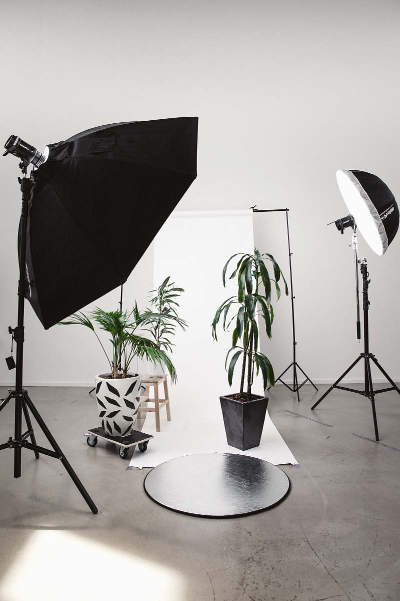 tripod three green linear leafed plants beside softbox photography