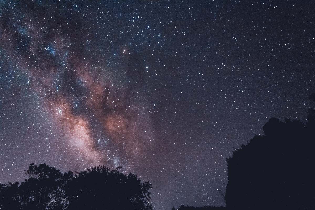 brazil silhouette photography of trees with stars universe