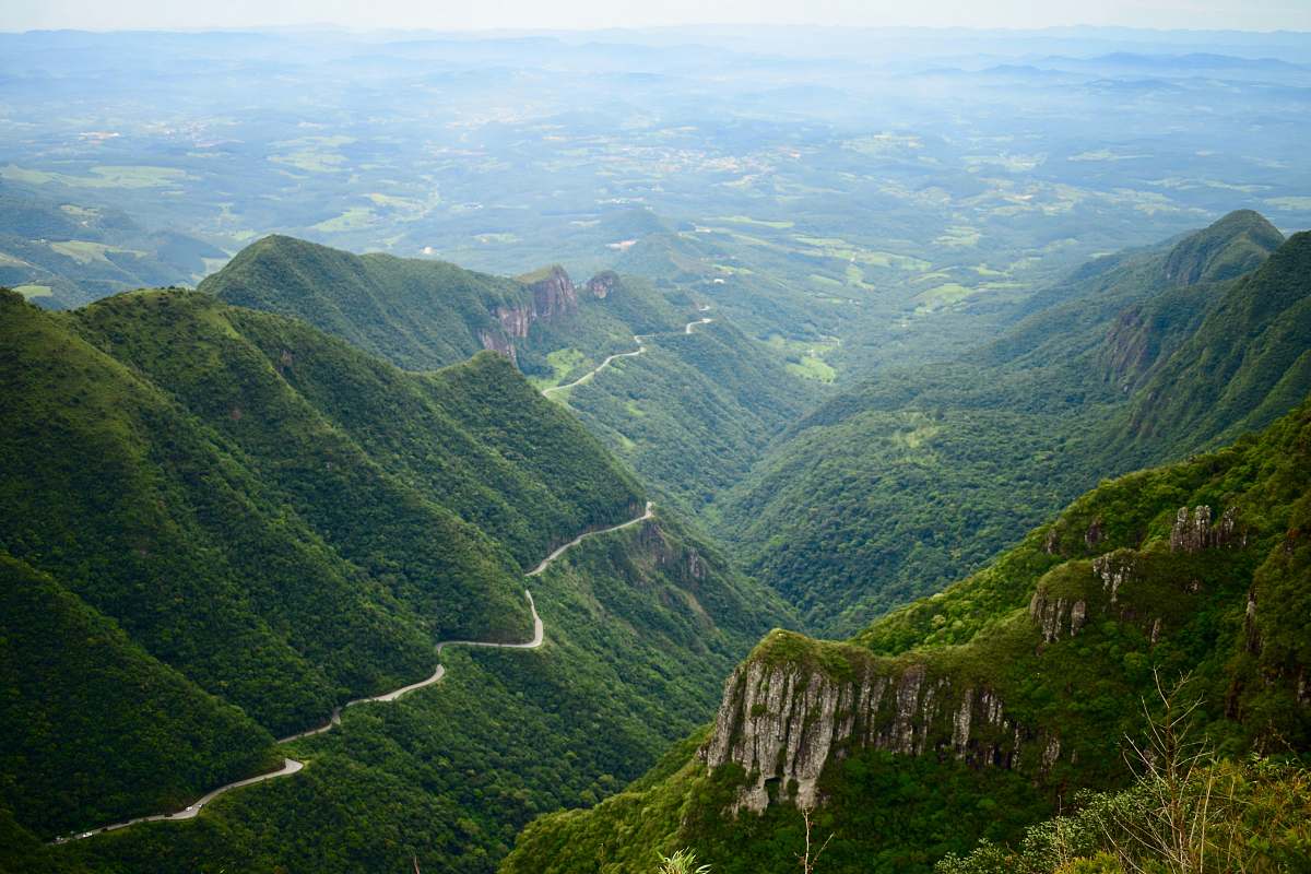 outdoors green covered mountain slope