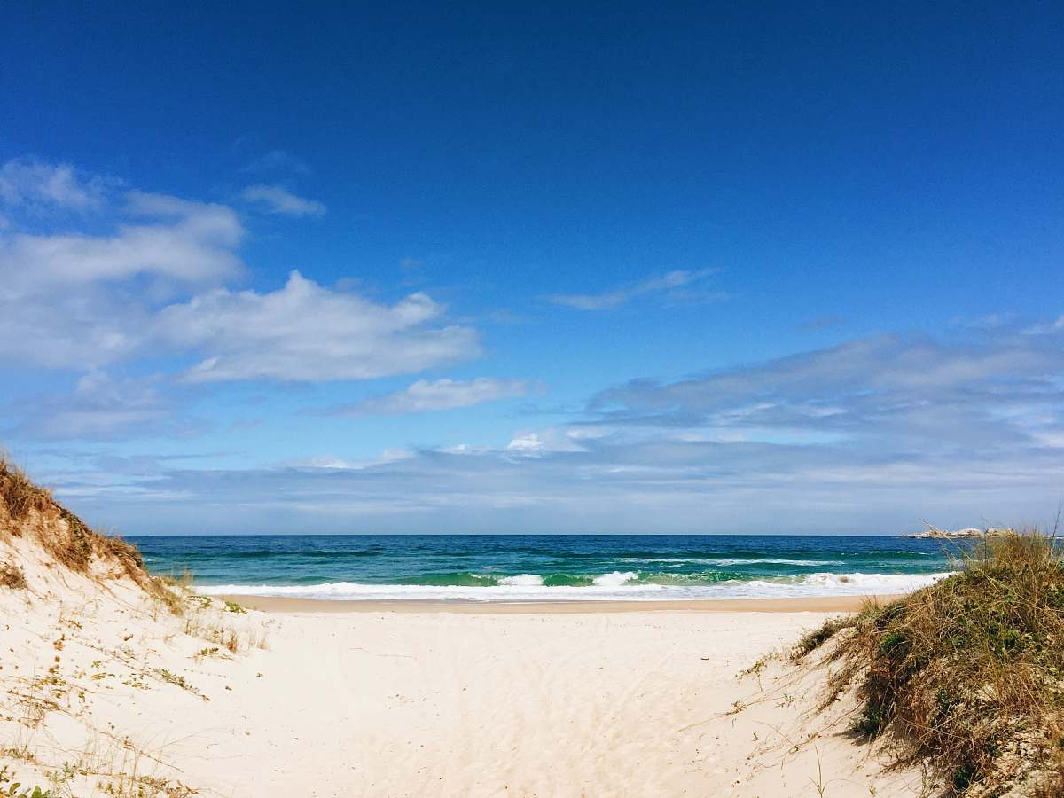 ocean seashore and body of water water